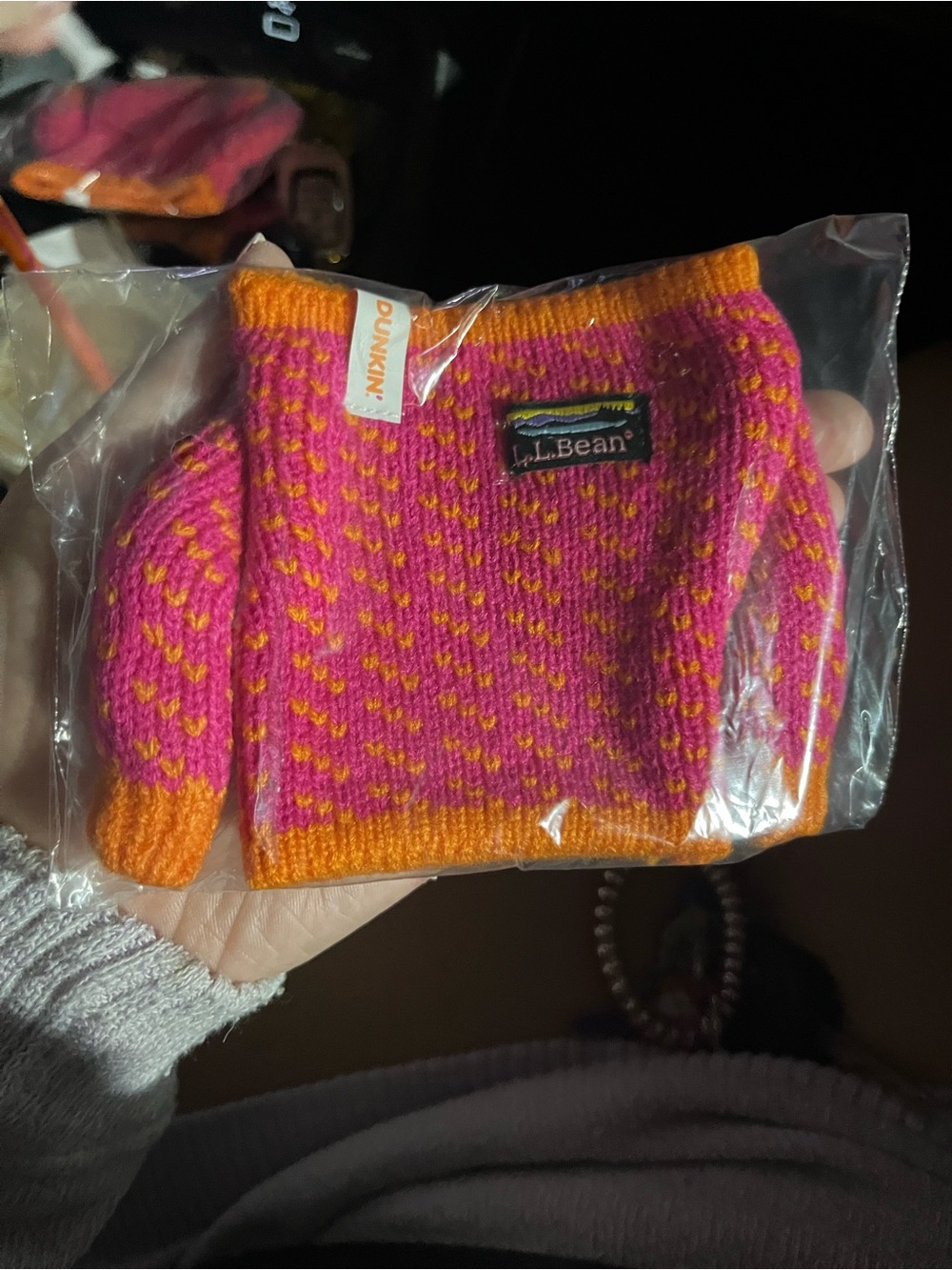 L.L. Bean Pink and Orange Knit Crewneck Sweater